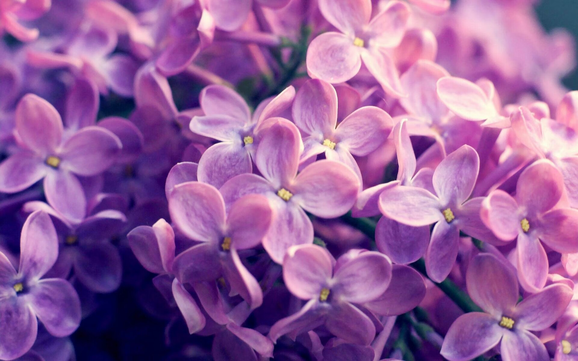 爱游戏 电竞-《电竞游戏中的“隐藏内容”：探索幕后奥秘》，电竞幕后干什么的