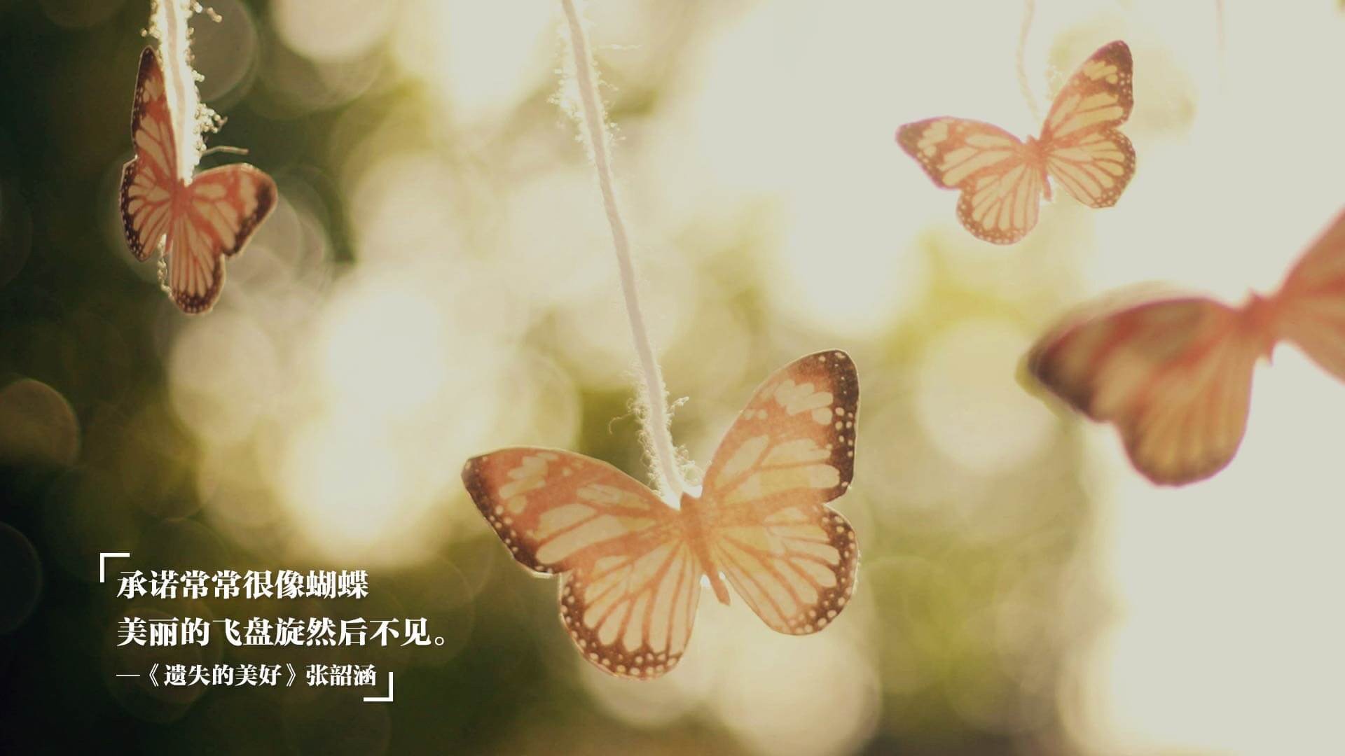 国家赛车队新赛季阵容公布冲击世界冠军，中国赛车国家队