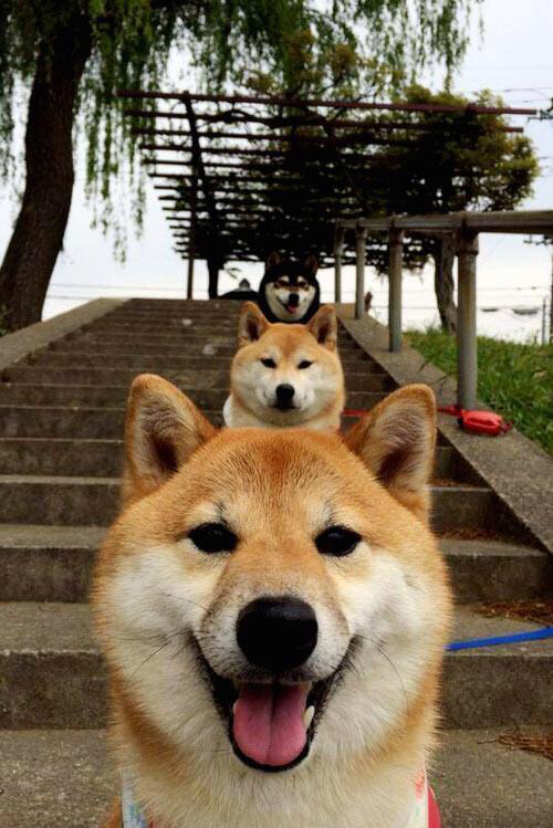 爱游戏app-意甲球队在欧洲赛场表现不俗，提升声誉，欧洲意甲联赛积分排行榜