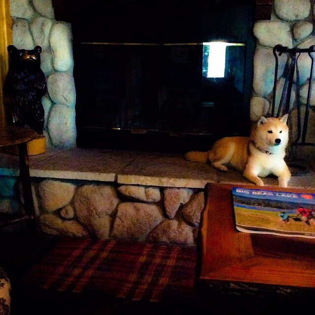 爱游戏体育官方网站-球场奇技：炫技盘点——最炫酷的篮球特技，篮球炫技表演视频