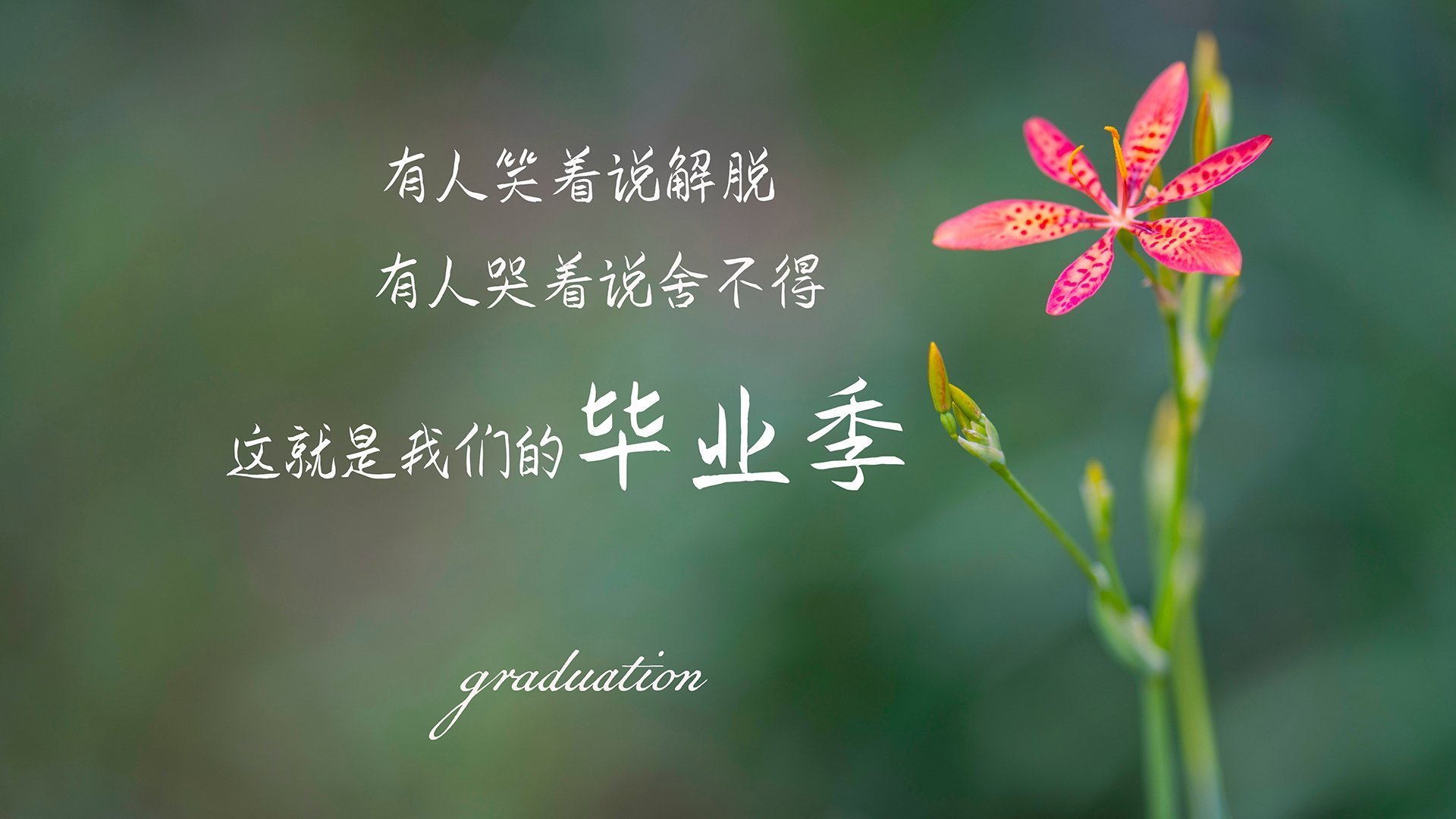 AYX官网-英超争夺激烈，比分3-2，比赛关键数据：两队射门次数相当，控球率悬殊