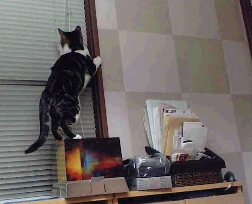 巴塞罗那遭遇突袭，陷入欧冠困境，巴塞罗那足球俱乐部欧冠