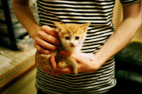 捷克队员机智应对,实现出人意料的胜利,捷克队特点