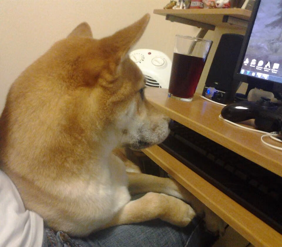 活塞再负战绩陷入泥潭，活塞比赛