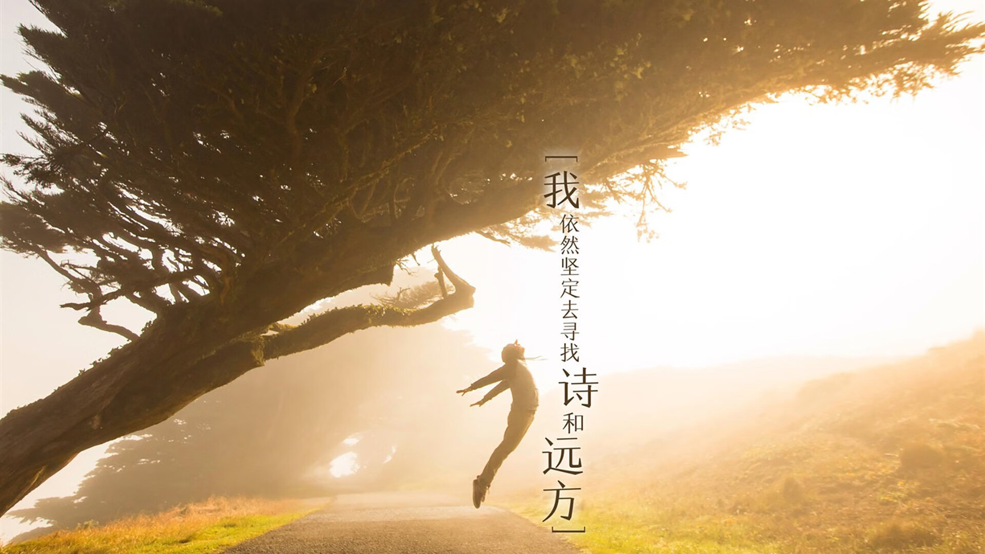 电竞赛事安全保障,电竞体育赛安保方案