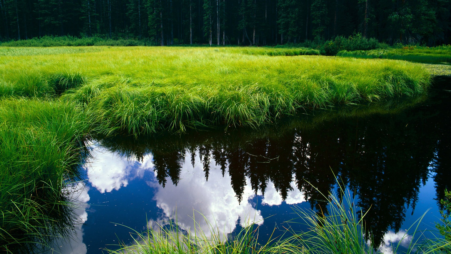 英雄联盟全球观众人数突破新高,英雄联盟观看人数世界纪录