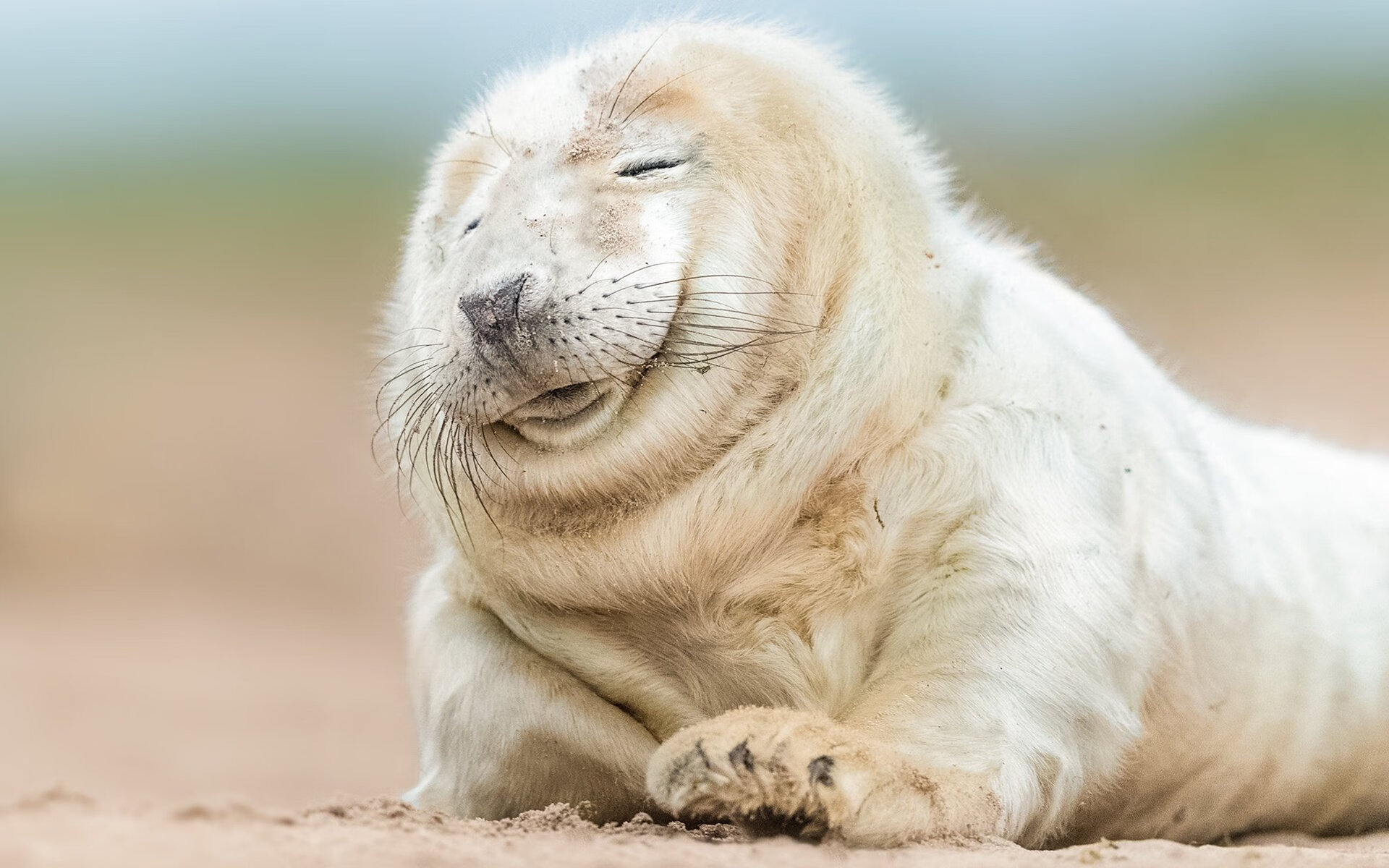 爱游戏官网-英雄联盟动画新篇上线，英雄联盟官方动画短片