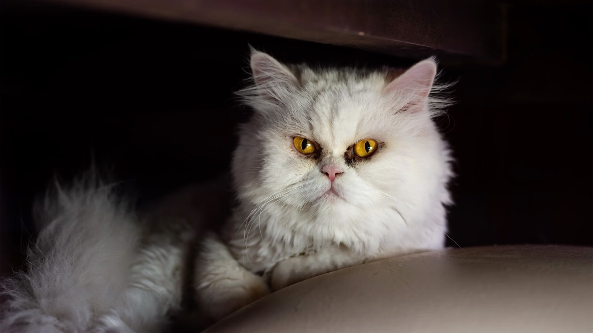 爱游戏体育app-马赛是否能补强薄弱位置完成突破，马赛指什么