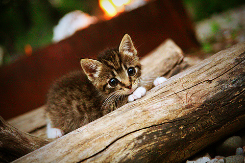 爱游戏官网-马赛球员入选国家队，马赛足球运动员