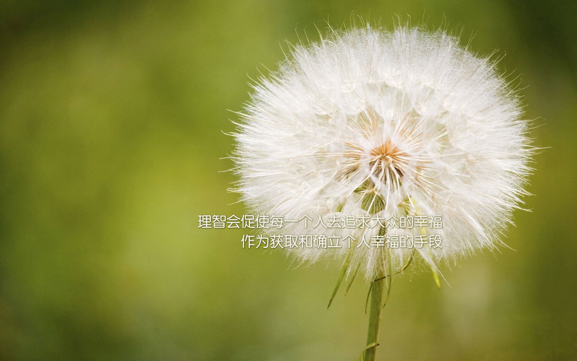 NBA球队体能训练方案设计，nba身体素质训练