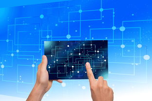 爱游戏体育app-中国篮球青训体系教练员能力评估与发展规划，篮球教练员素养