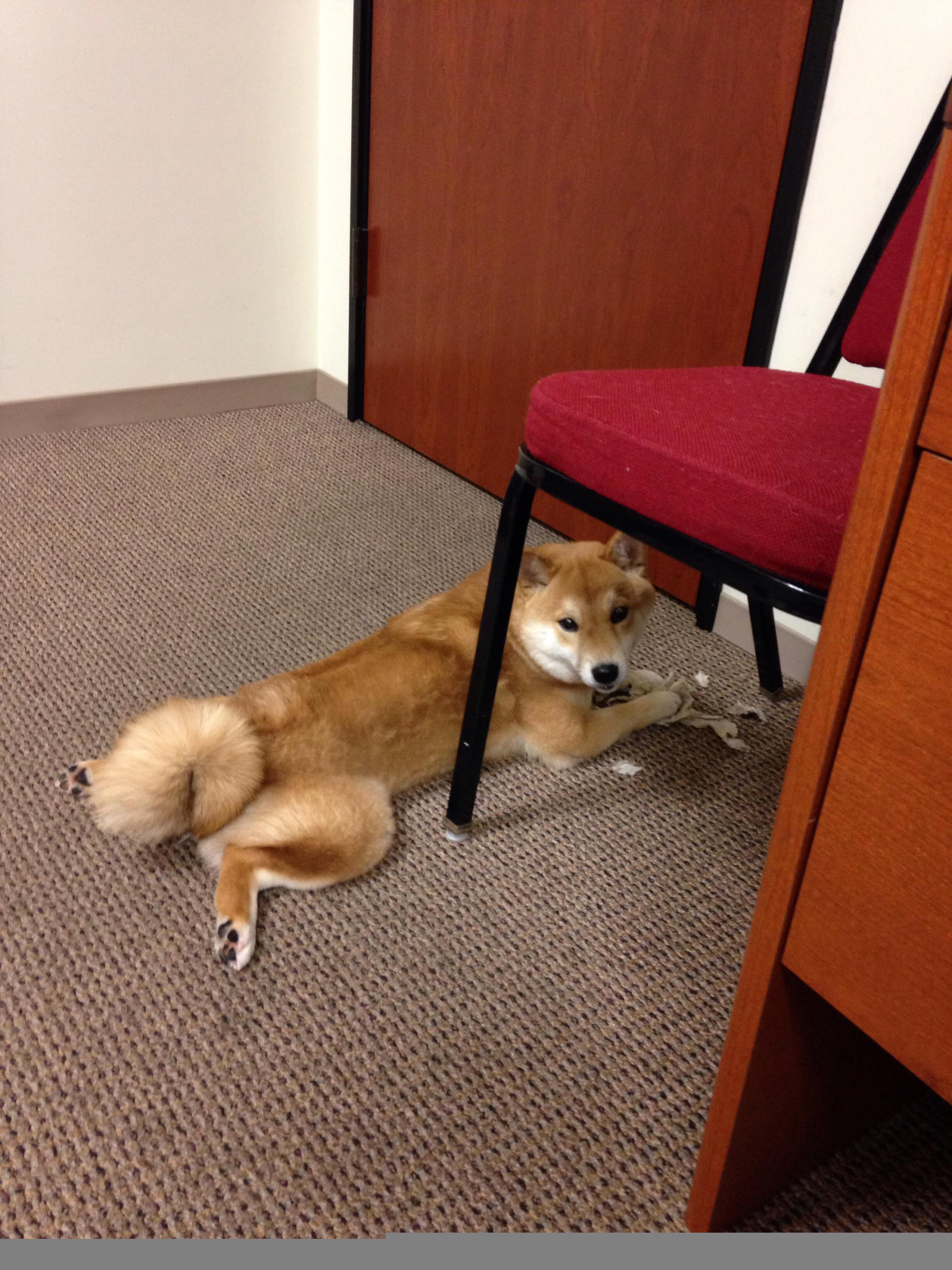 中国足球边后卫助攻落点分布数据分析，边后卫助攻后谁来补位