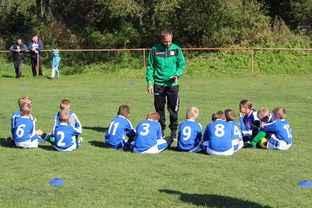 爱游戏综合娱乐-德甲球队战术模拟平台辅助比赛策略调整的应用研究，德甲游戏