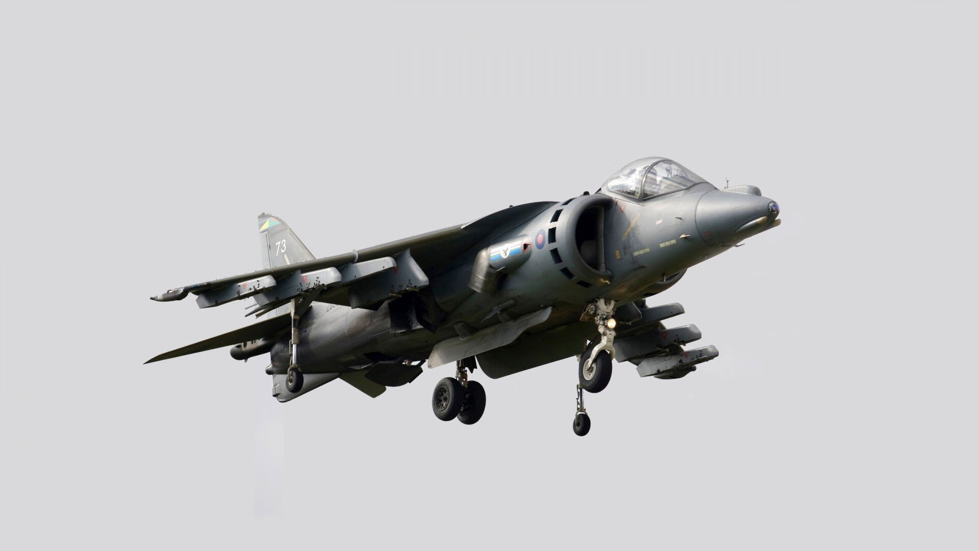 现场直击:赛场中的感人瞬间与球迷热情,足球赛场上的感人瞬间