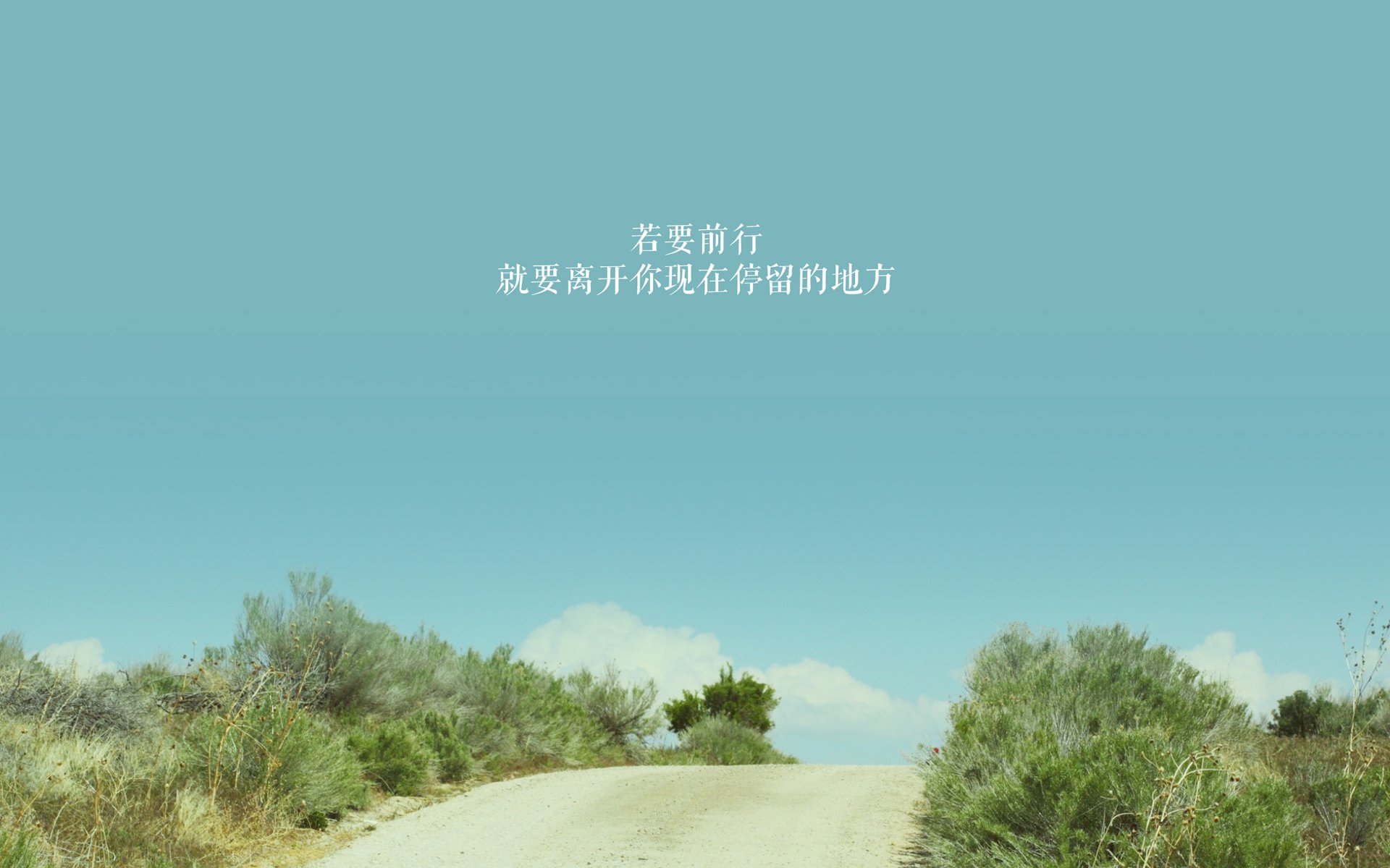 爱游戏体育APP下载-“新加坡泳池，谁将成为2025世界游泳锦标赛的新一代王者？”