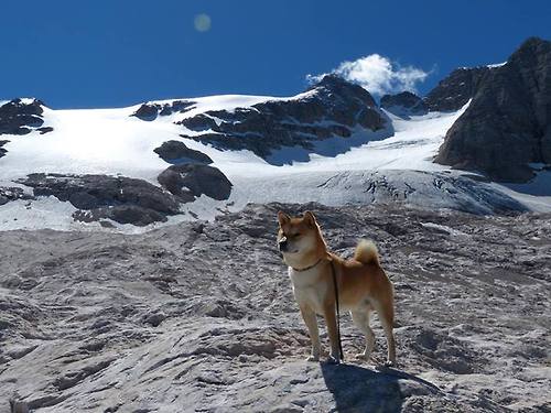 女子200混澳洲双将晋级前四,澳大利亚女子