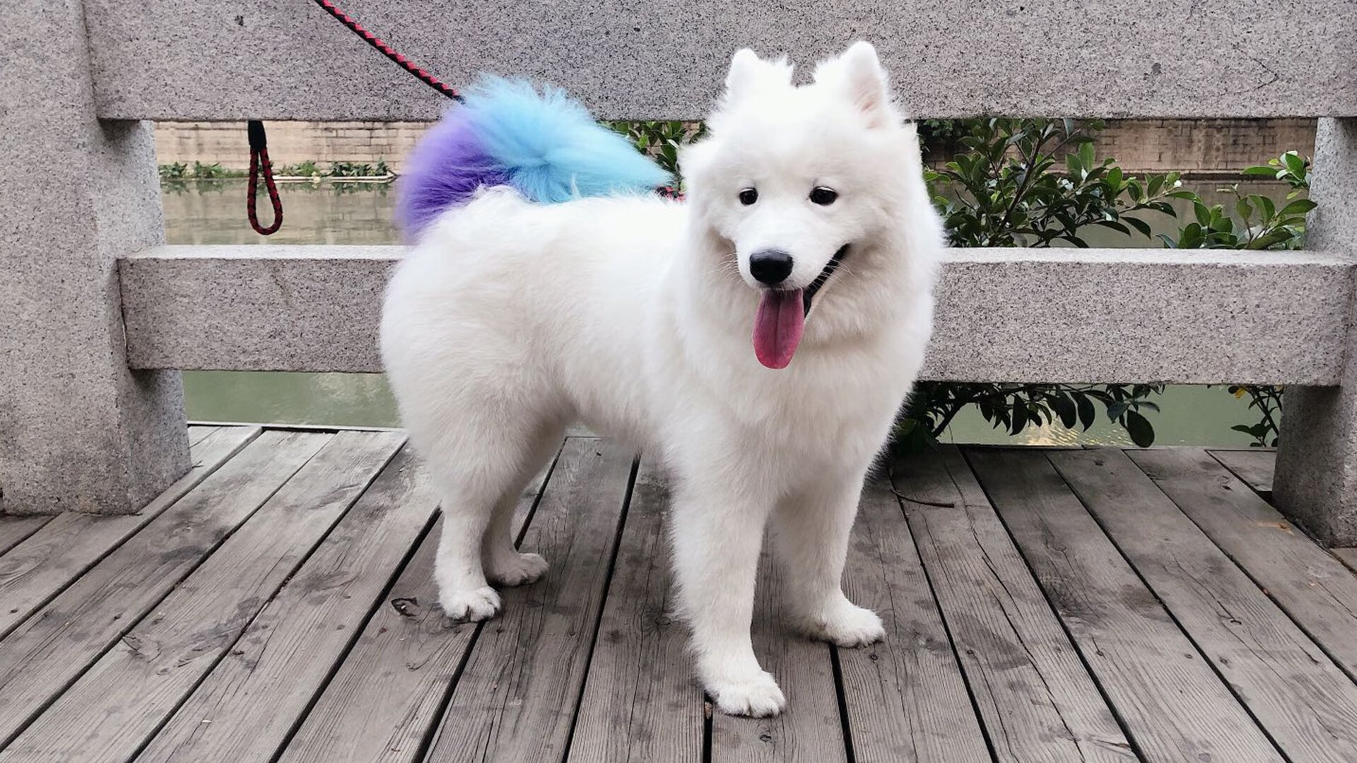 法甲未来巨星：新秀崛起，智造奇迹！，法甲潜力球员